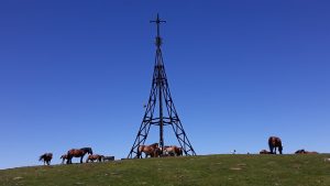 pays-basque-cheval